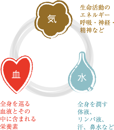 生命活動の エネルギー 呼吸・神経・ 精神など、全身を巡る 血液とその 中に含まれる 栄養素、全身を潤す 体液、 リンパ液、 汗、鼻水など